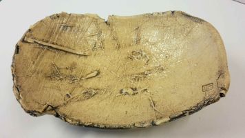 Baumschale.jpg (606639 Byte)