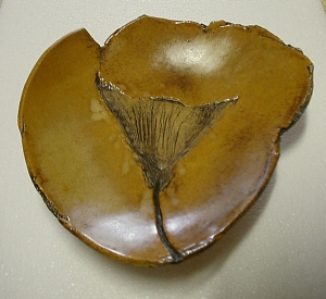 MVC-446F kl.jpg (67671 Byte)