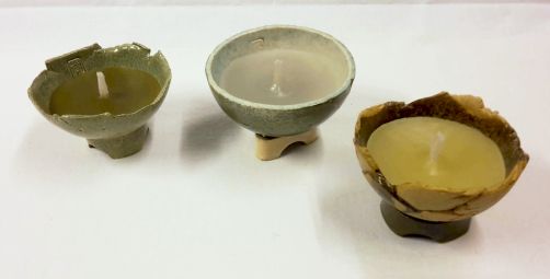 Wachsfresser_Fus.jpg (207863 Byte)